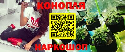 трава Кимры