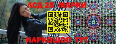 стаф Кингисепп