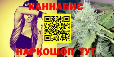 стаф Кингисепп