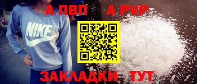 стаф Кингисепп