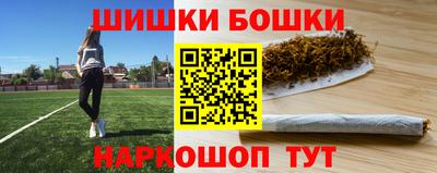 стаф Кингисепп